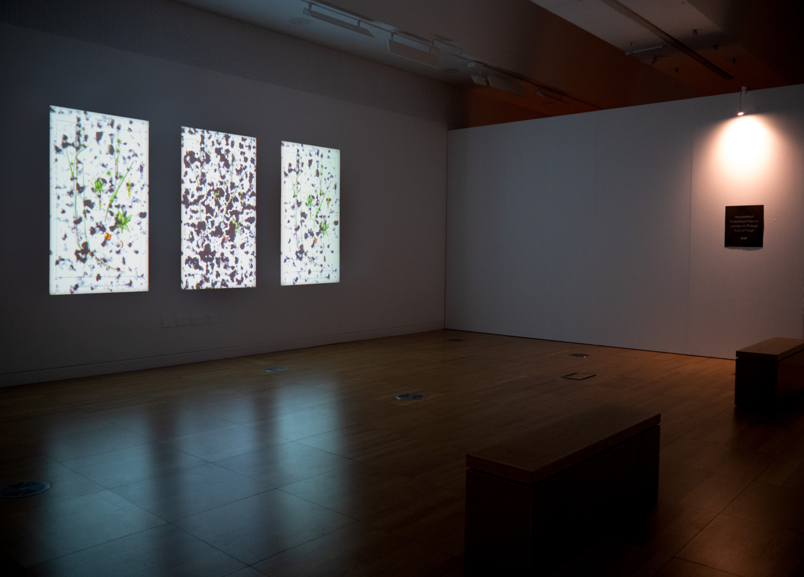Three lighted artworks in a dark room at the exhibition Athrú at Luan Gallery