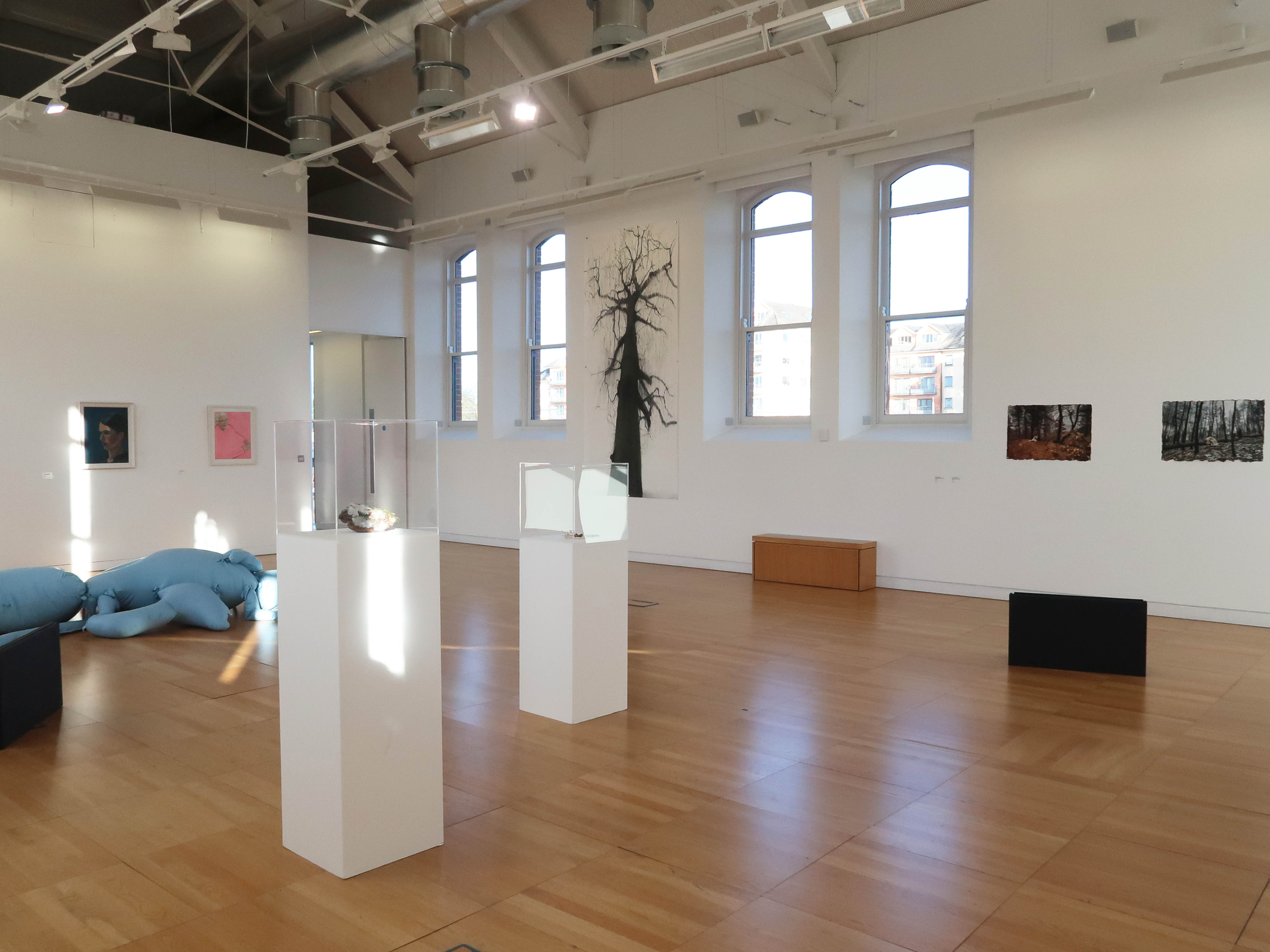 Installations on the floor and art on wall at the exhibition Mythologies of the personal at Luan Gallery