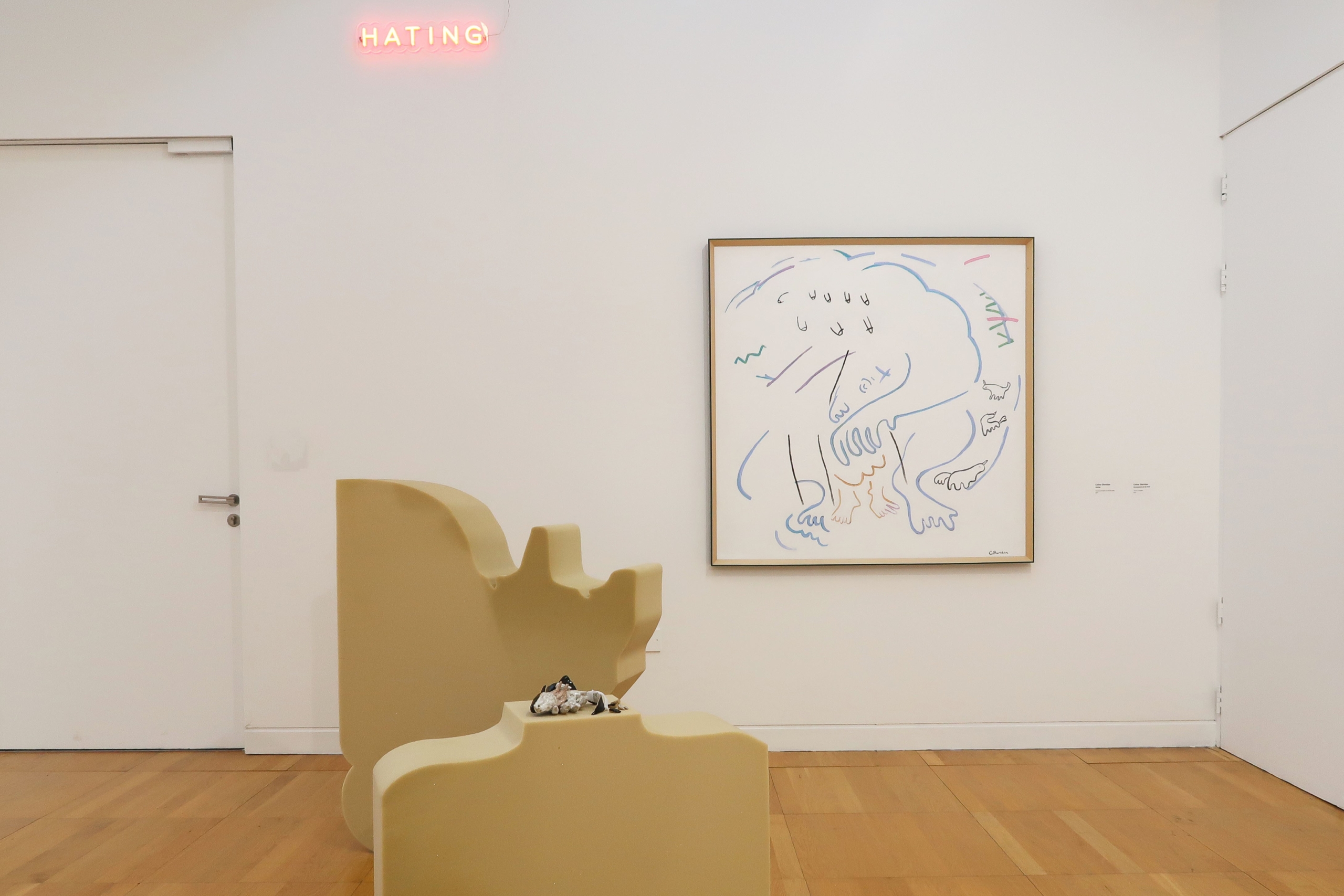 Winner Celine Sheridan Artwork Installation at Luan Gallery Artist Award - image in wooden frame on a white wall