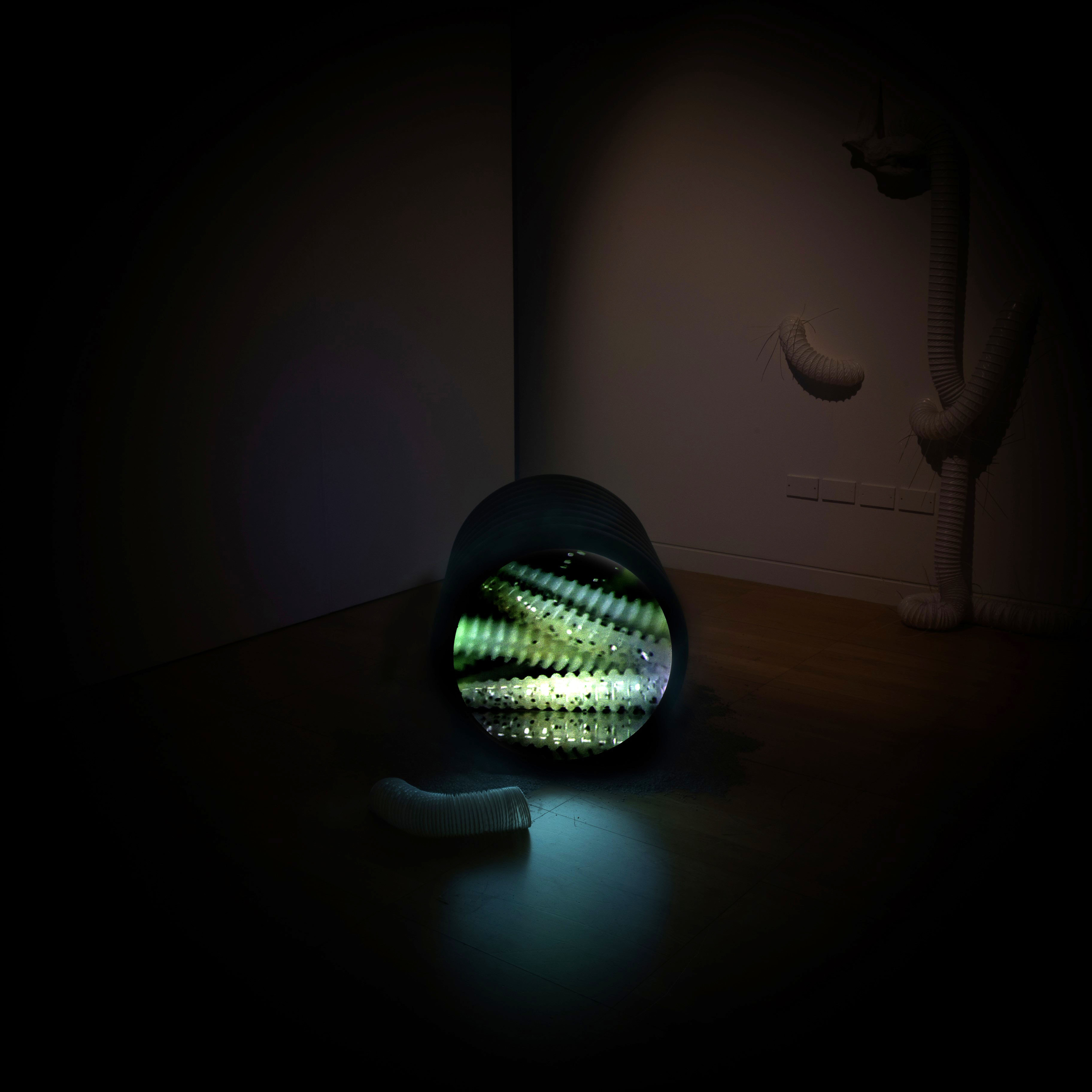 "Midden" exhibition at Luan Gallery - Dark room with light in art