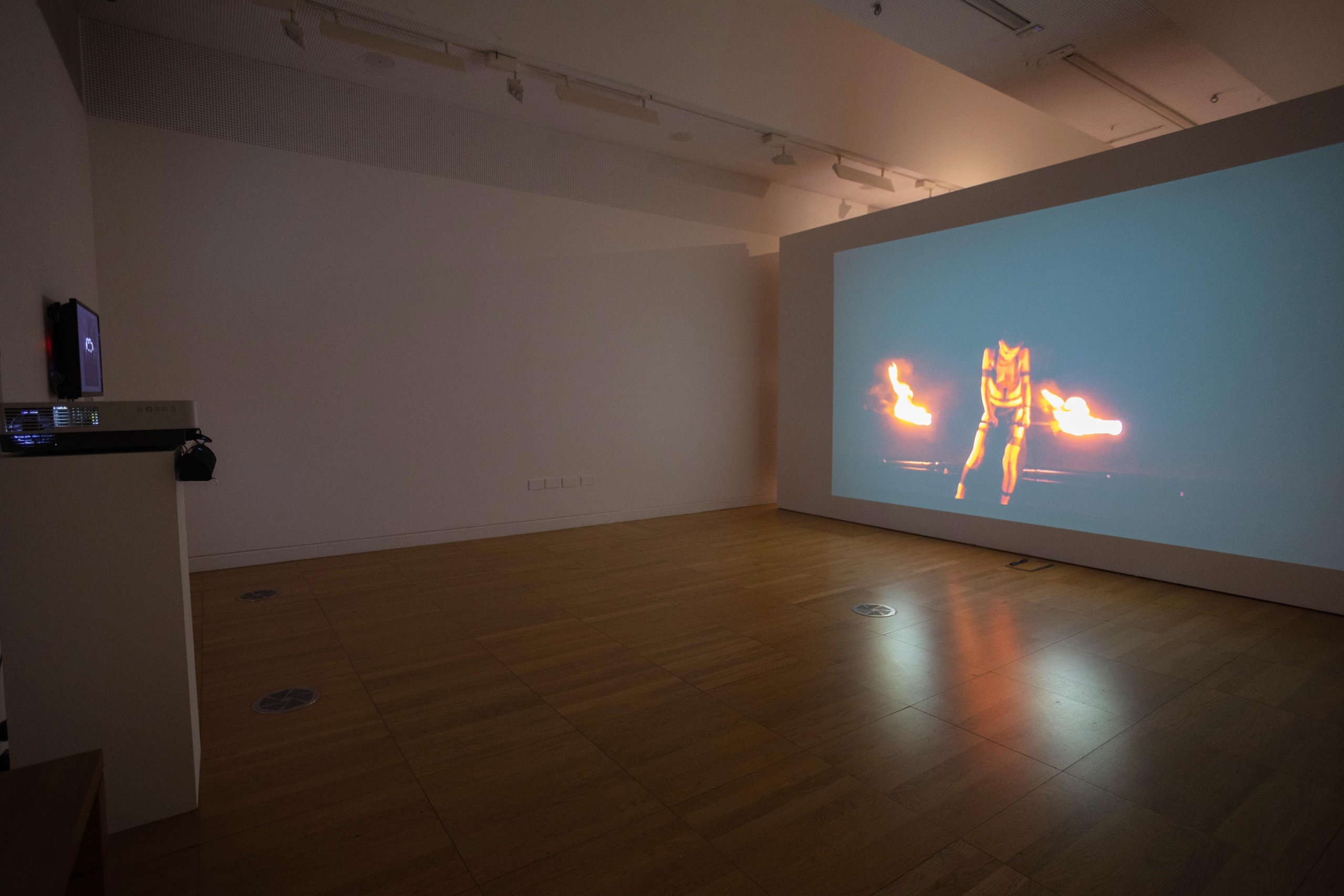 "Nightscapes" exhibition at Luan Gallery, dark room with a screen