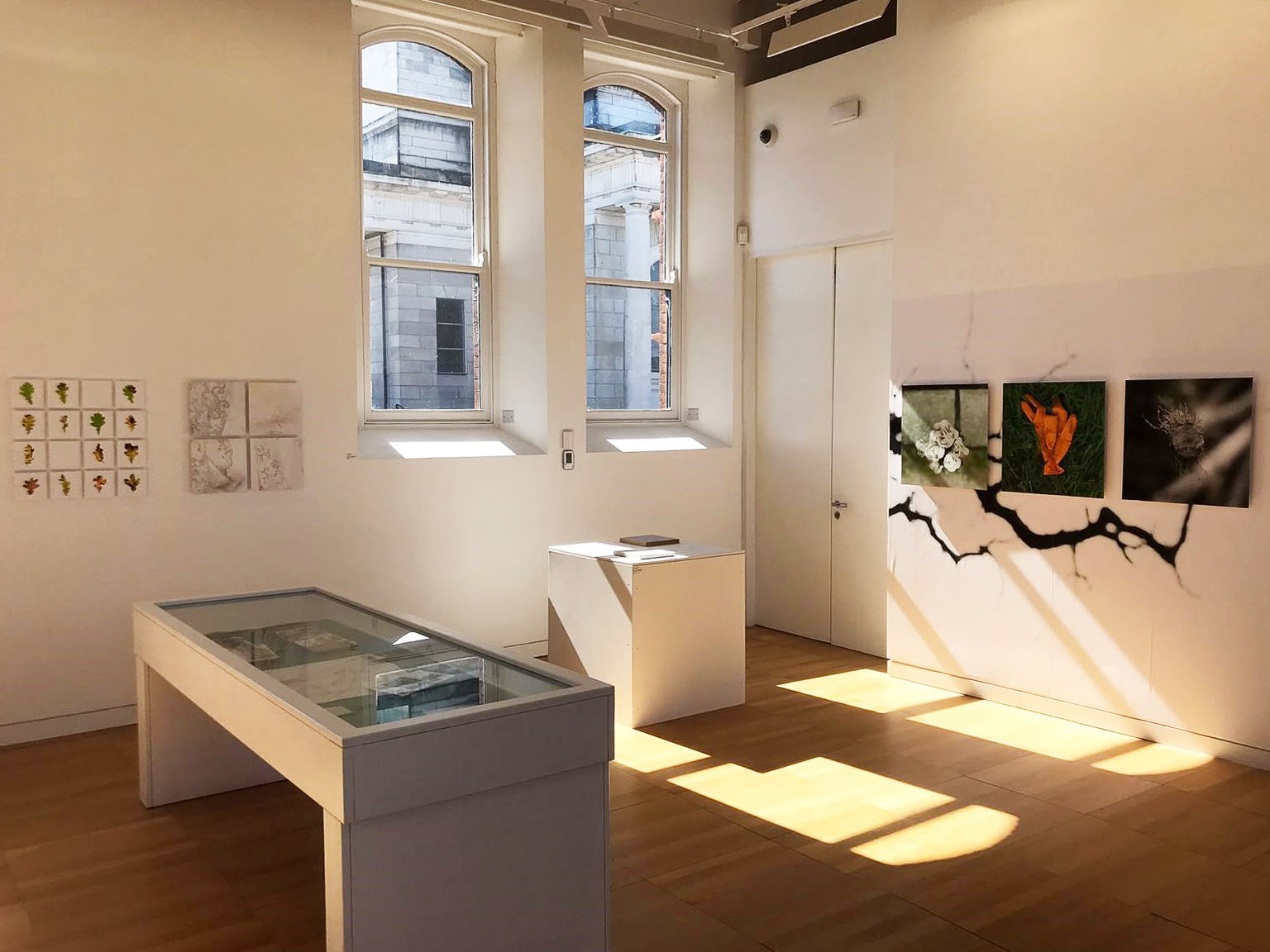 "Breaking Borders" Exhibition at Luan Gallery