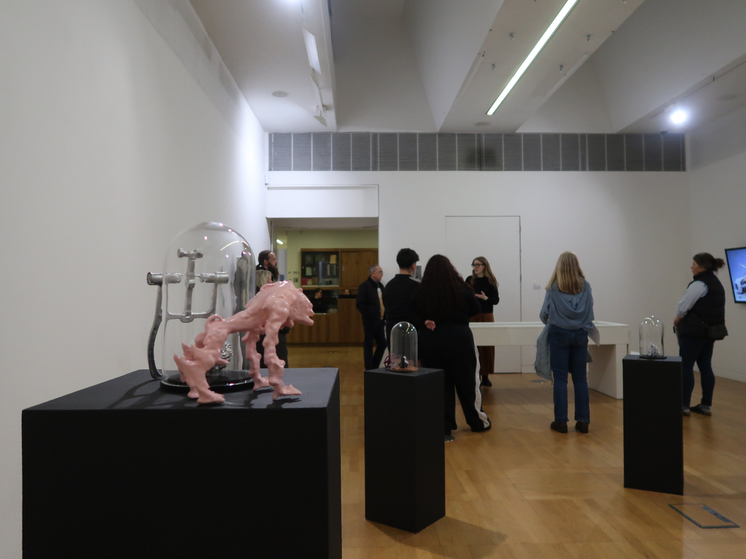 curators tour of the exhibition "system arming" at Luan Gallery on culture night