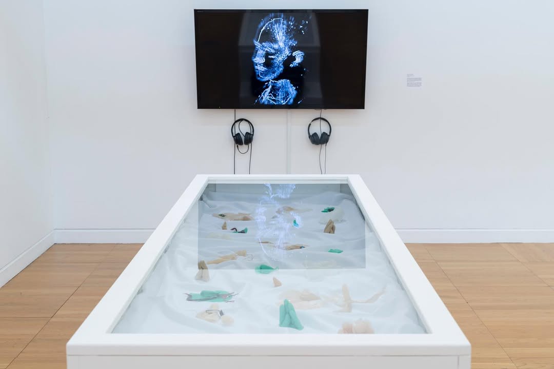 Luan Gallery photo of Installation by Aisling Phelan