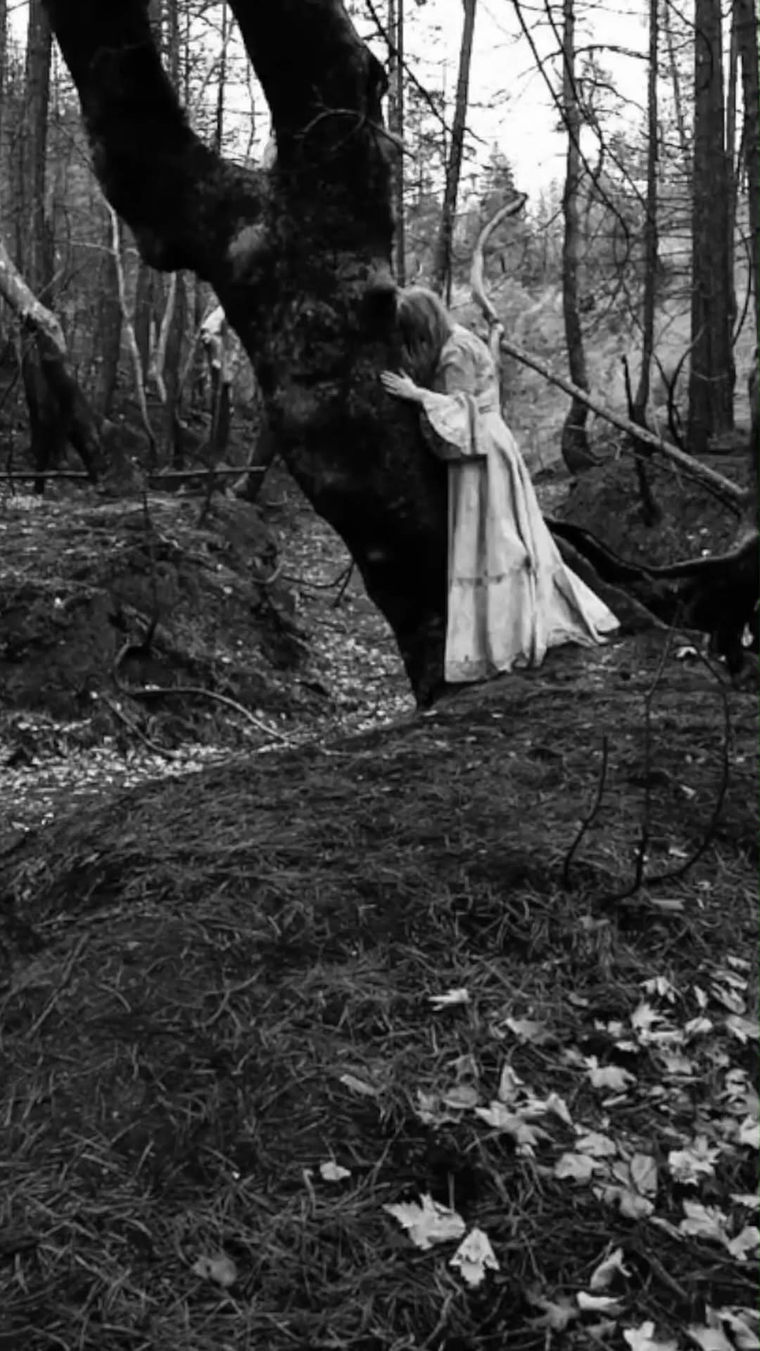 Luan Gallery Art piece by Aishling Muller - Black and White photo