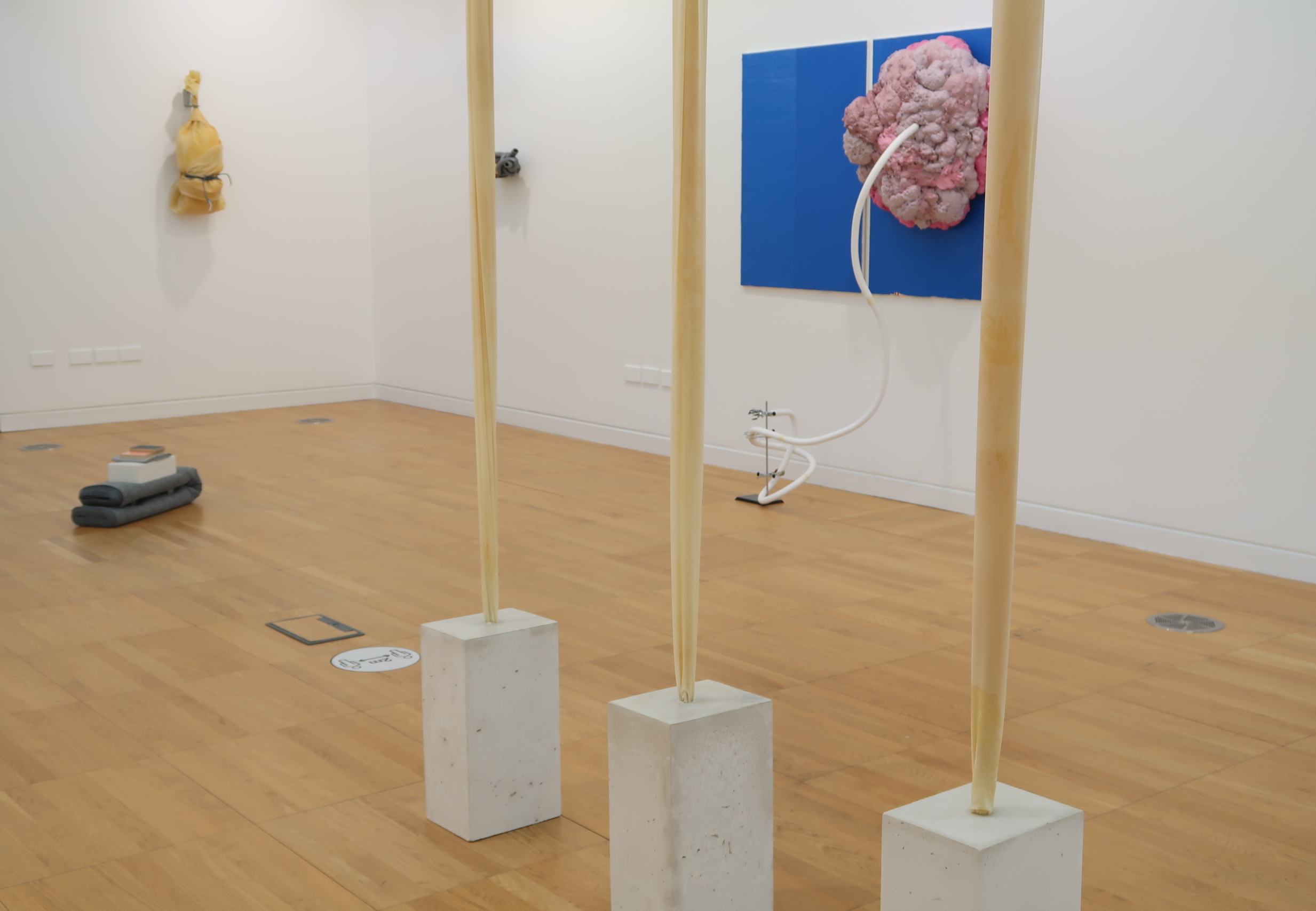 Susan Buttner, Installation view, (2021), New Gallery, Library Gallery