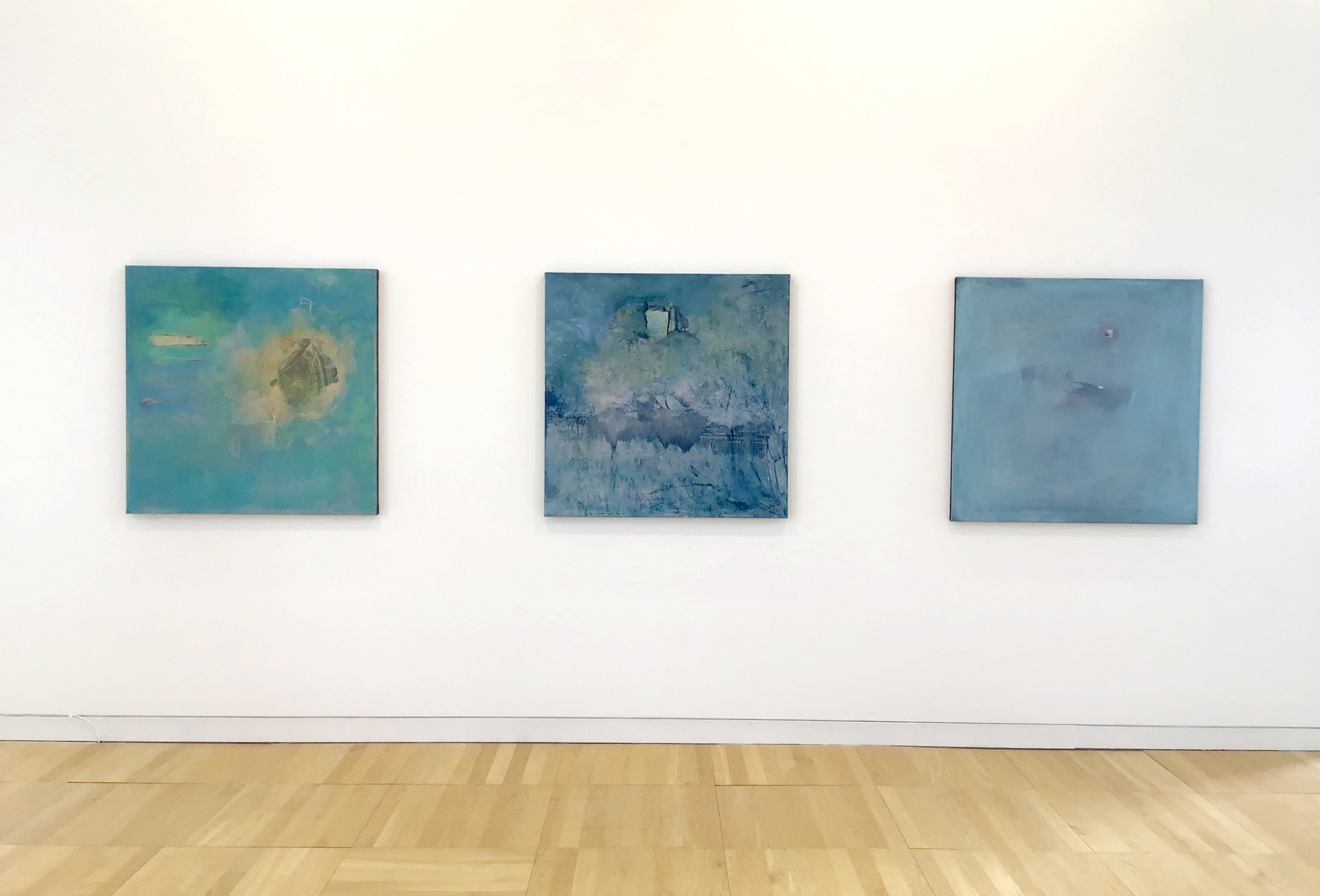 Evocation by Anne Harkin Petersen in Luan Gallery